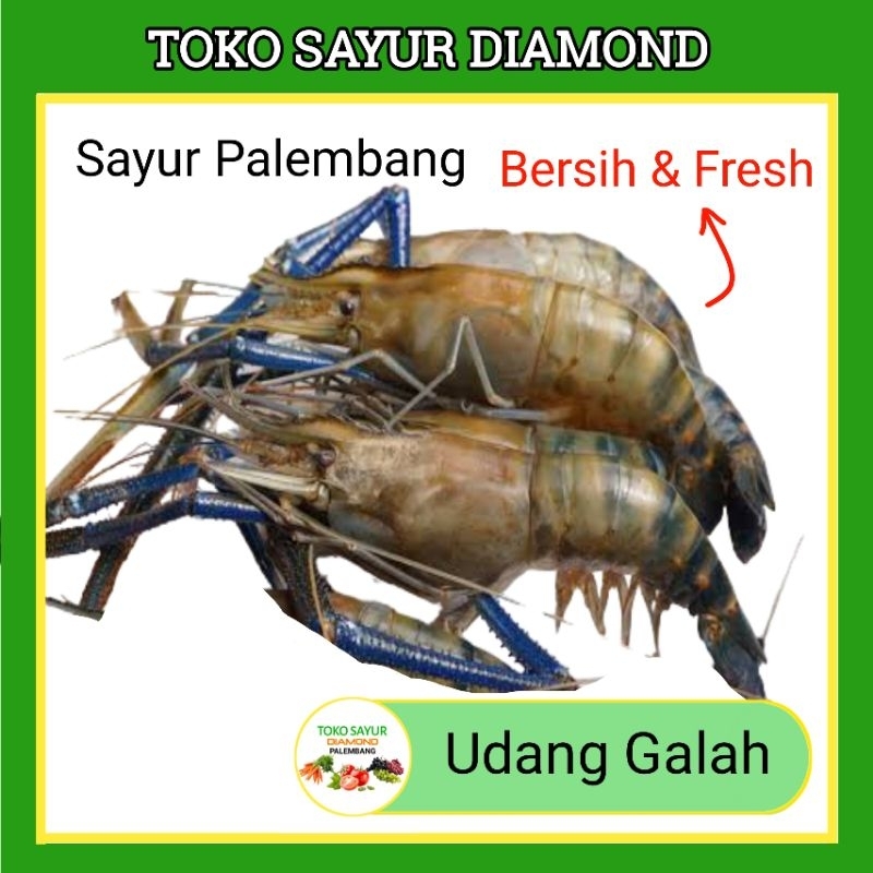 

Udang Galah / Satang - Palembang