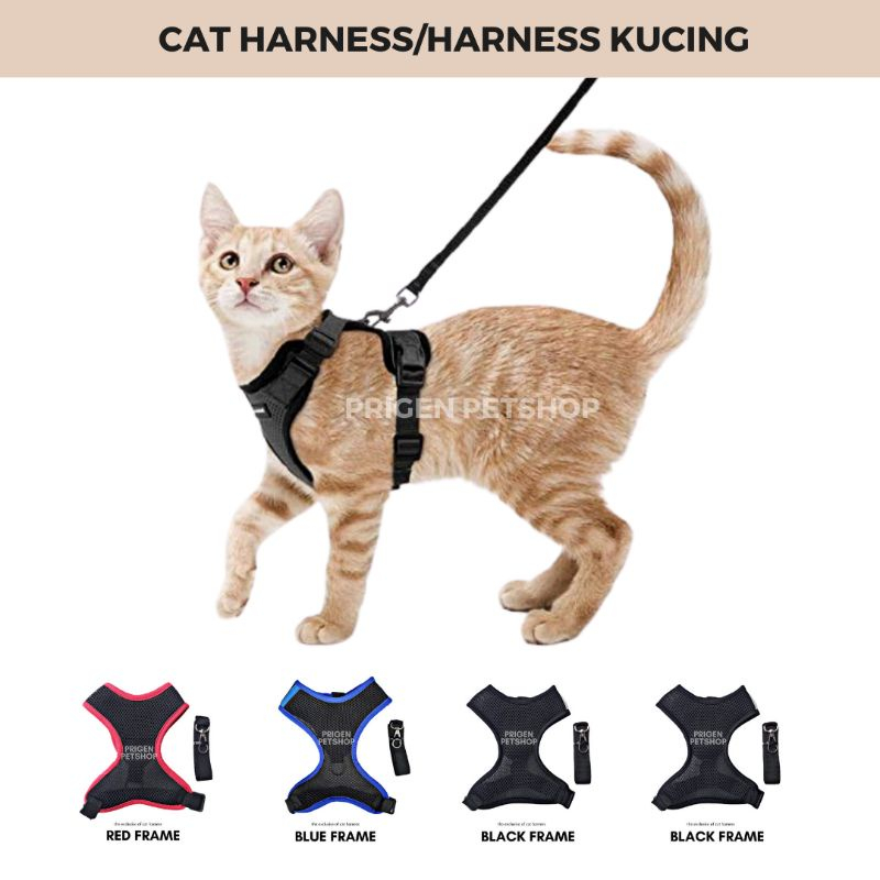 HARNESS KUCING / CAT HARNESS / TALI TUNTUN KUCING / BAJU KUCING JALAN-JALAN
