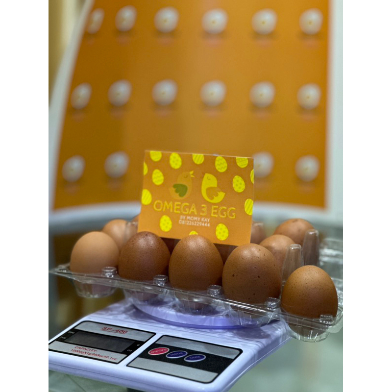 

telur omega 3