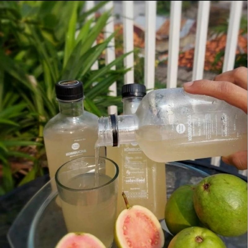 

probiotik drink || kombucha all varian || 250ml & 950ml
