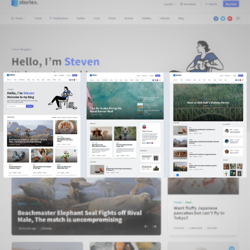 template Stories - Laravel fullstack template plus CMS blog post - creative multilingual blog