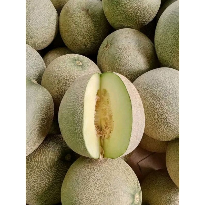 

melon