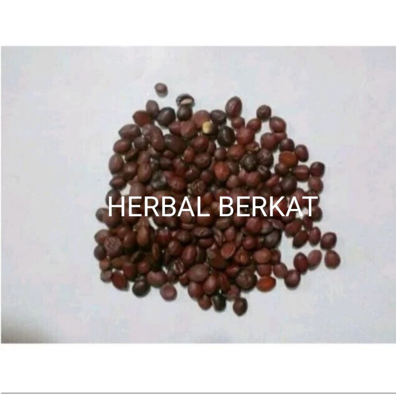 

50gram Chao Suan Zao ren heated semen zizyphi spinosae jujube seed