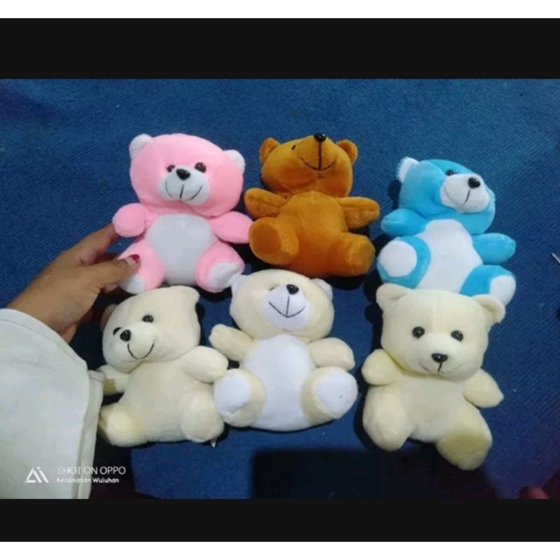 Boneka buket / boneka beruang / boneka mini / boneka wisuda / boneka lucu
