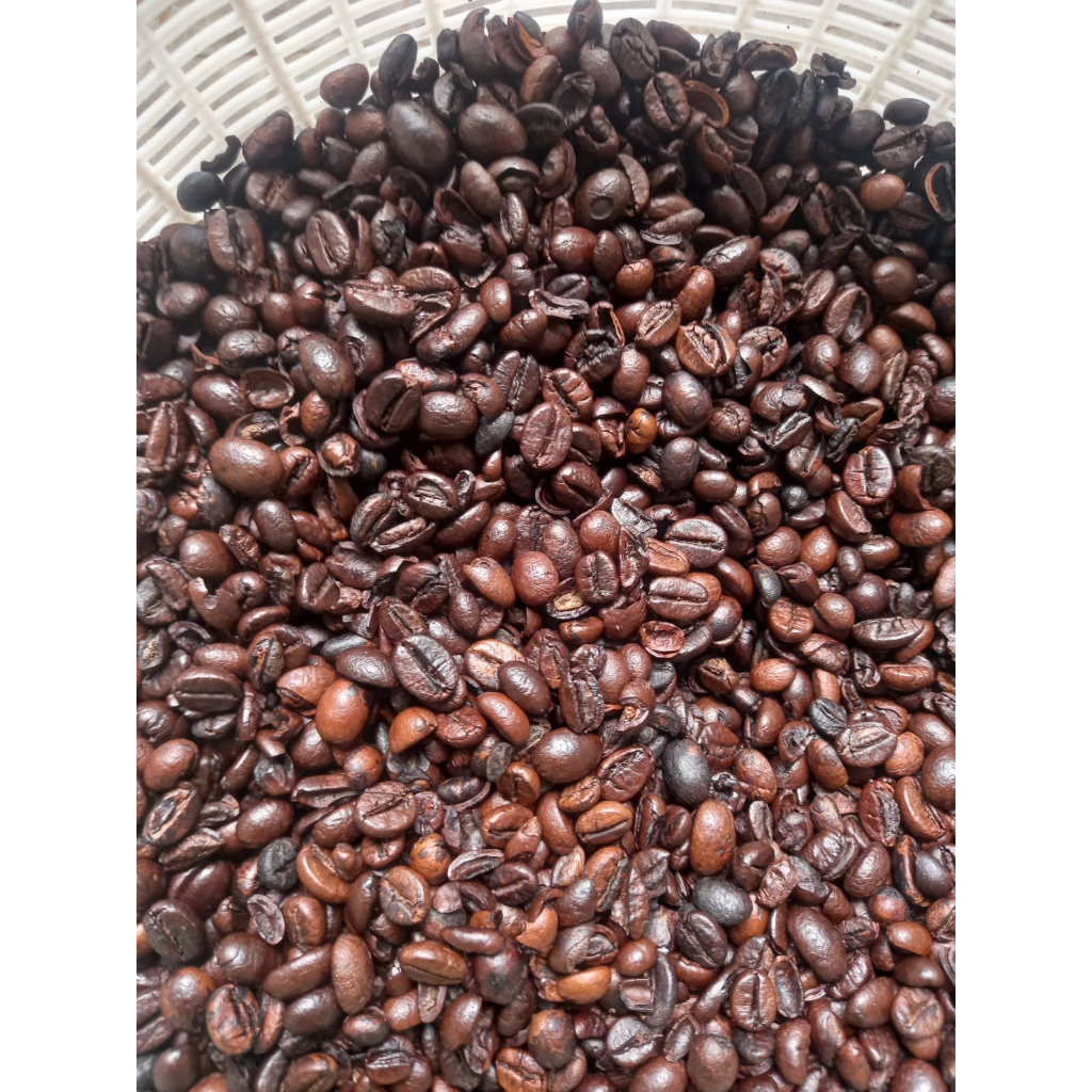 

Biji Kopi Robusta Aceh Gayo Daerah Sumatra Espresso Coffe Roast Bean Single Origin Bean Coffe Percaya27 1KG