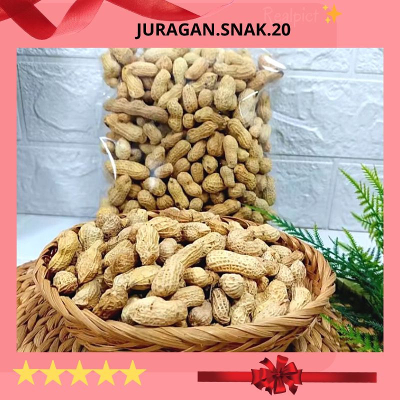 

(Redy Stok) Kacang Oven 500gm Kacang Kulit Asin Gurih Cemilan Enak