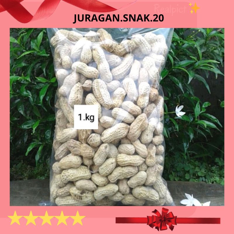 

(REDY STOK) Kacang Kulit Asin 1kg Kacang Oven Kacang Sangrai Harga Grosir Cemilan enak