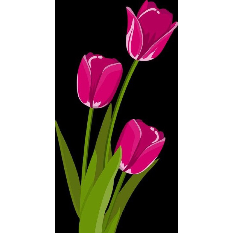 gambar hiasan dinding bunga tulip plus bingkai