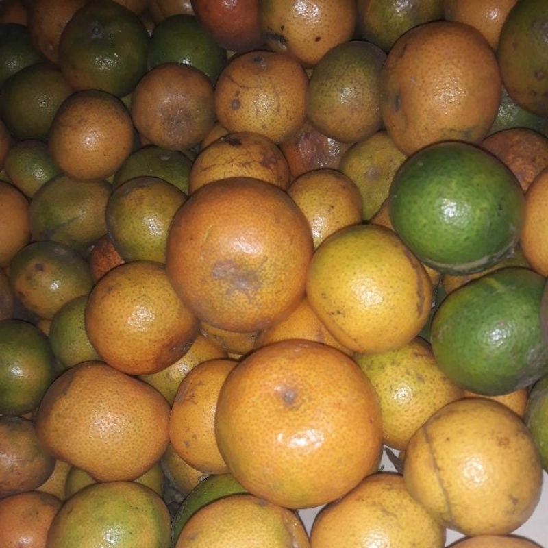 

jeruk keprok segar 500 gram
