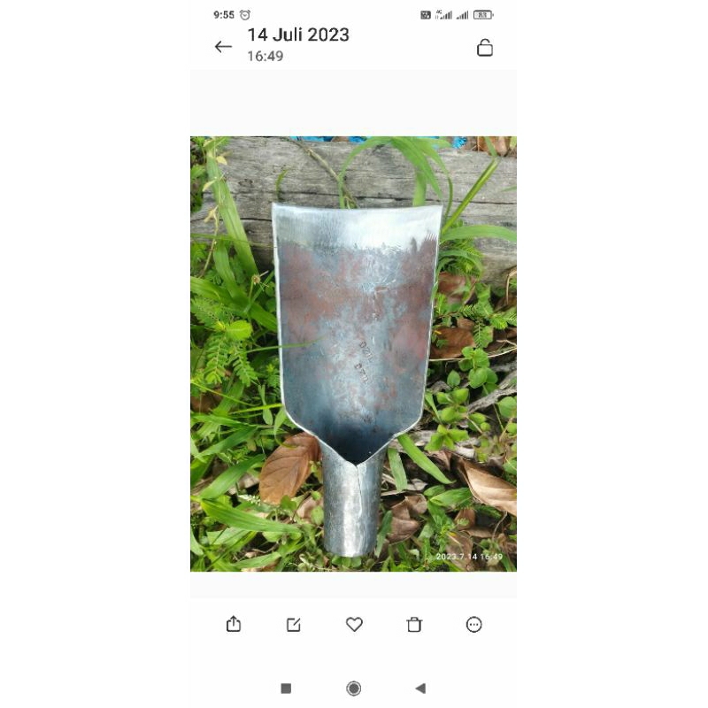 linggis tembilang jumbo