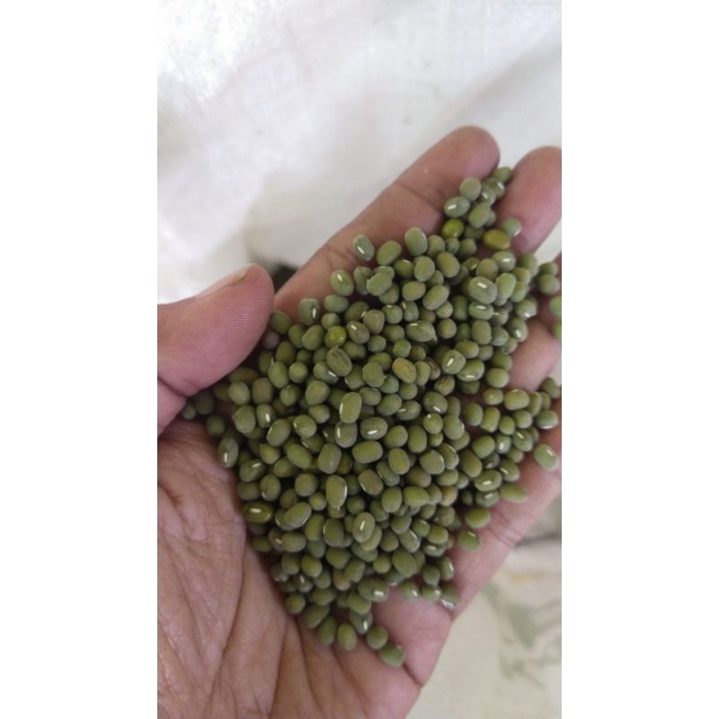 

kacang hijau super 1kg