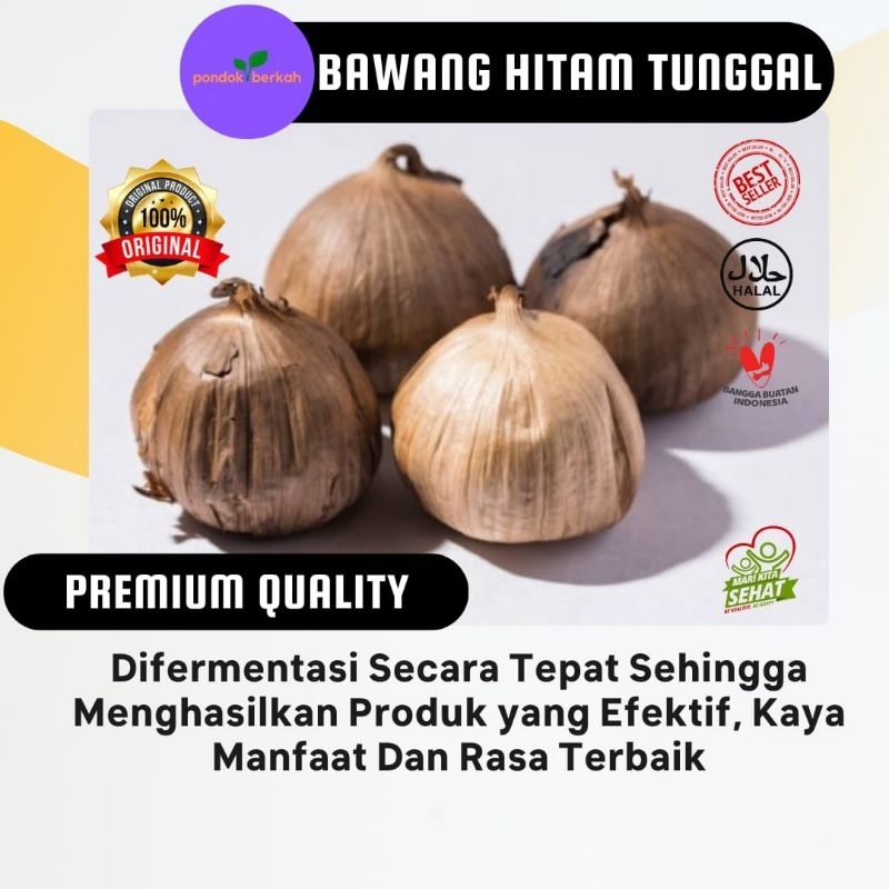 

Bawang Hitam Tunggal Solo Black Garlic Netto 250 Gram Pondok Berkah Terlaris Fresh