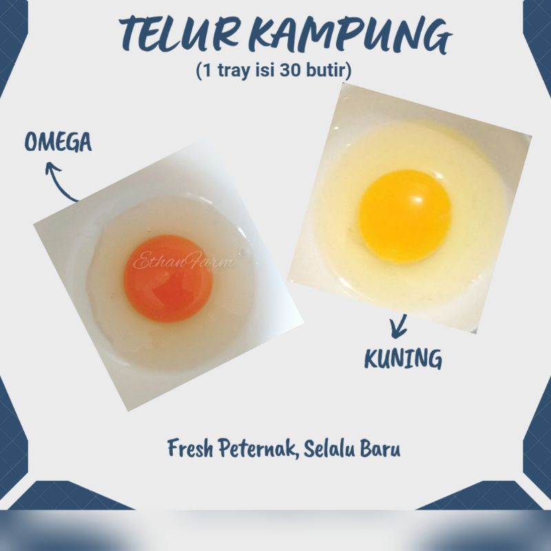 

(per 10 butir) Telur Kampung Omega (KURIR INSTAN)