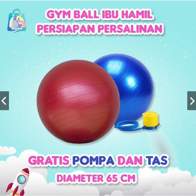 SEQUMIL Gymball / Birthing Ball