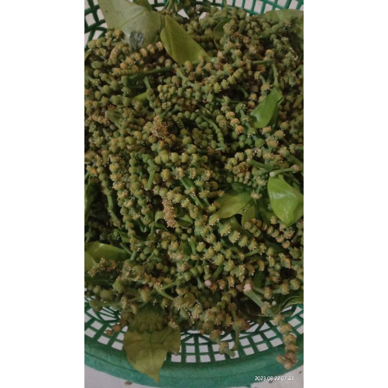 Uceng (Bunga Melinjo)