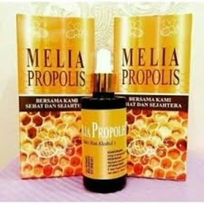 MELIA PROPOLIS MELIA SEHAT SEJAHTERA 55ML PT MSS