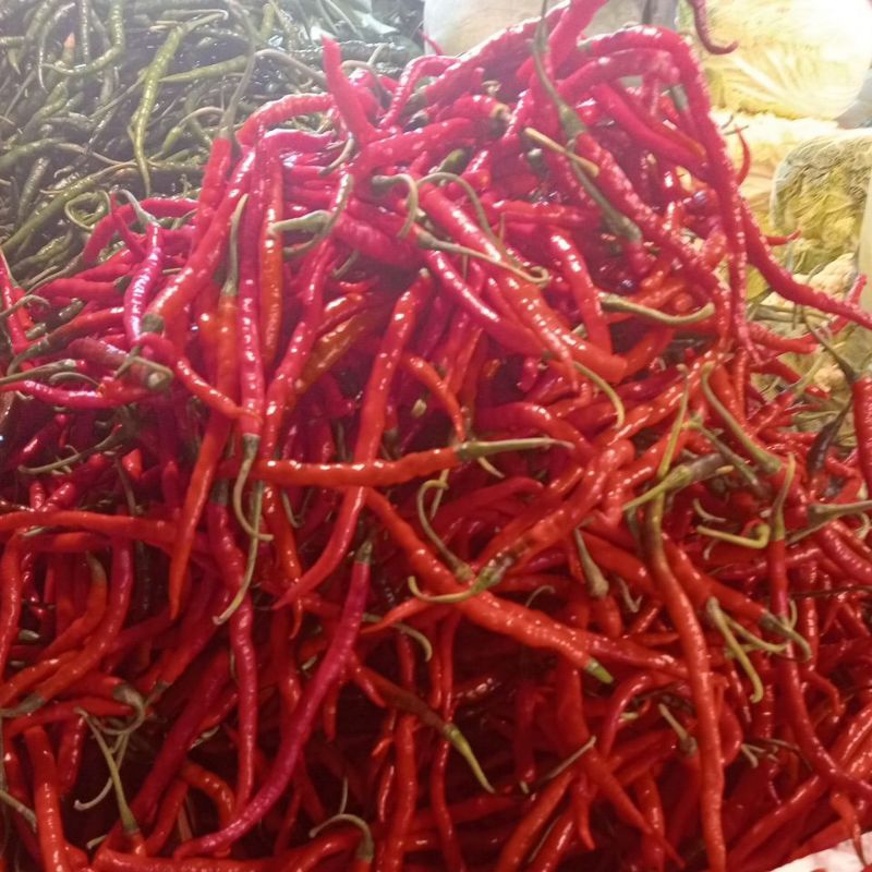 

cabe keriting merah 1kg