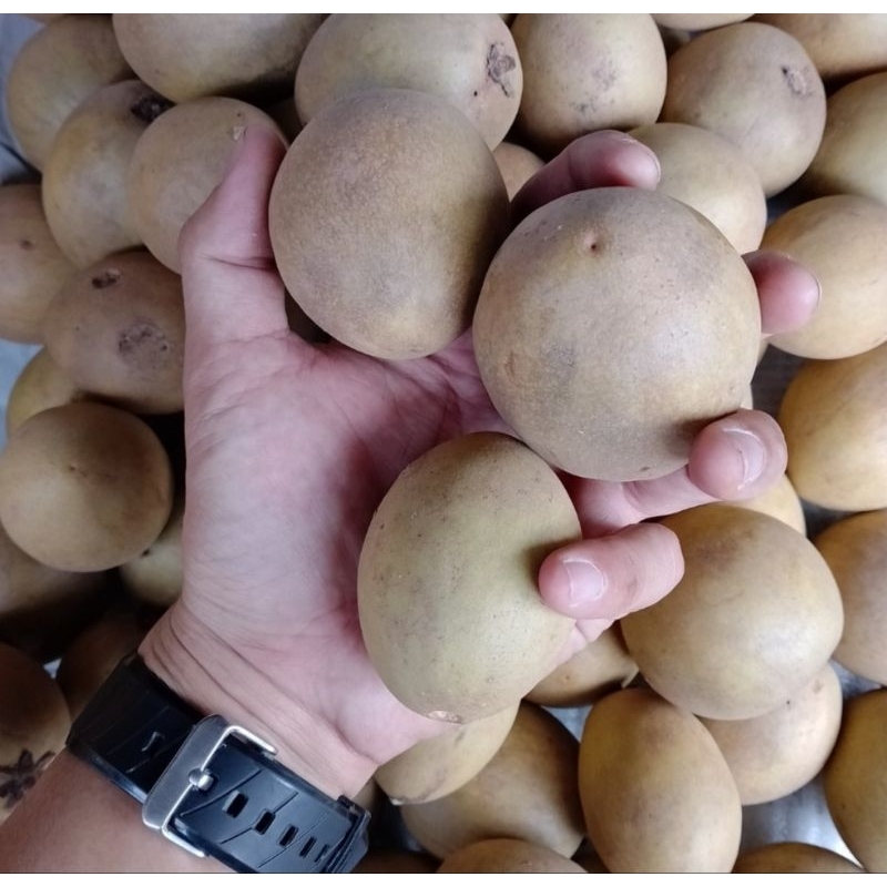 

SAWO Madura by Buwah Fresh