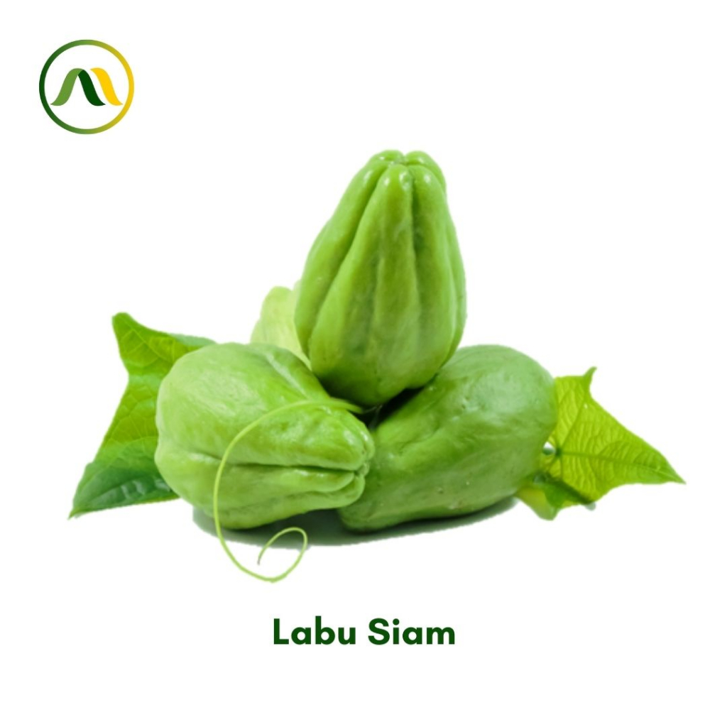 

Labu Siam Besar 200gr