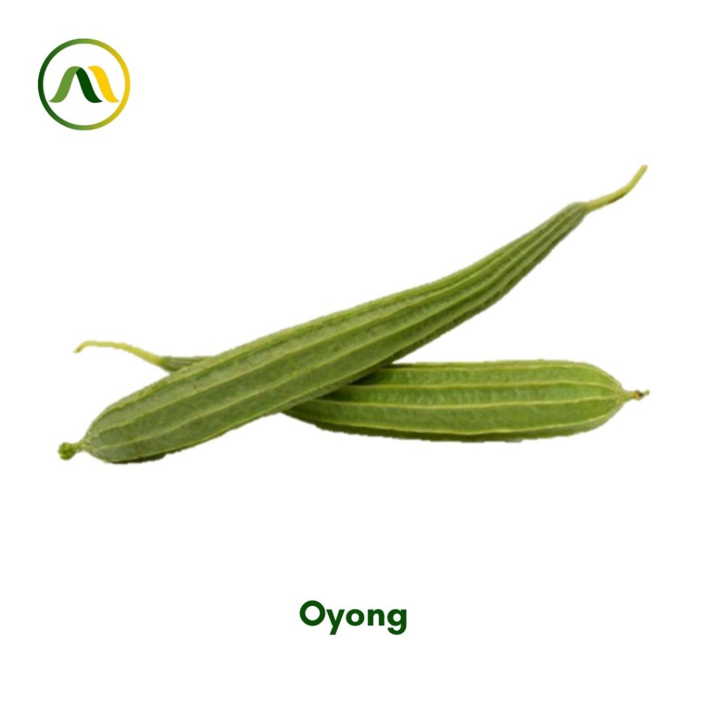 

Oyong 500g