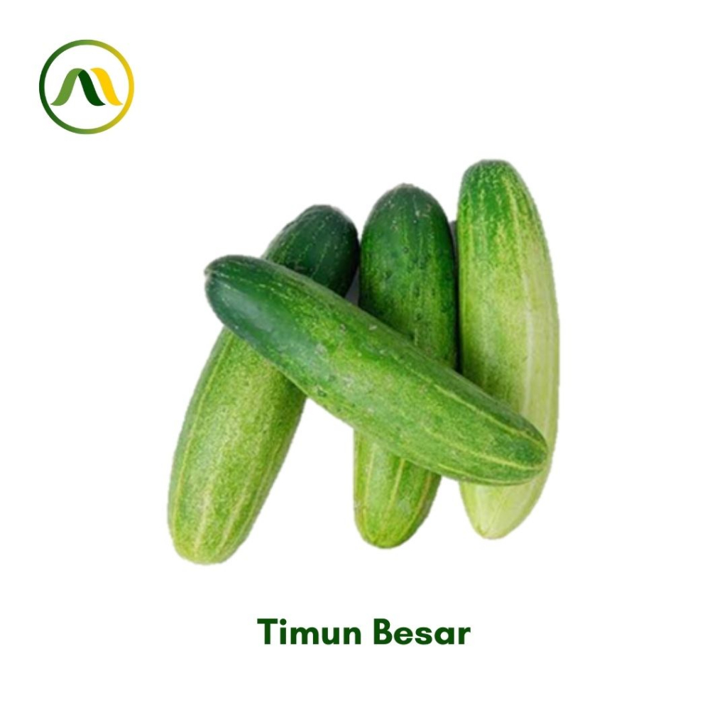 

Timun Besar 500g