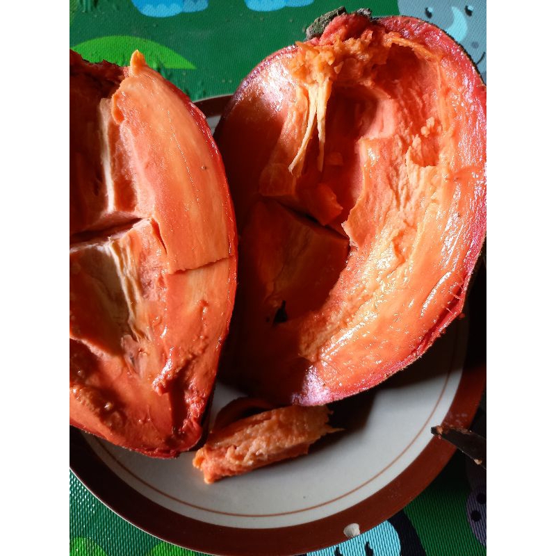 

buahmameysapote