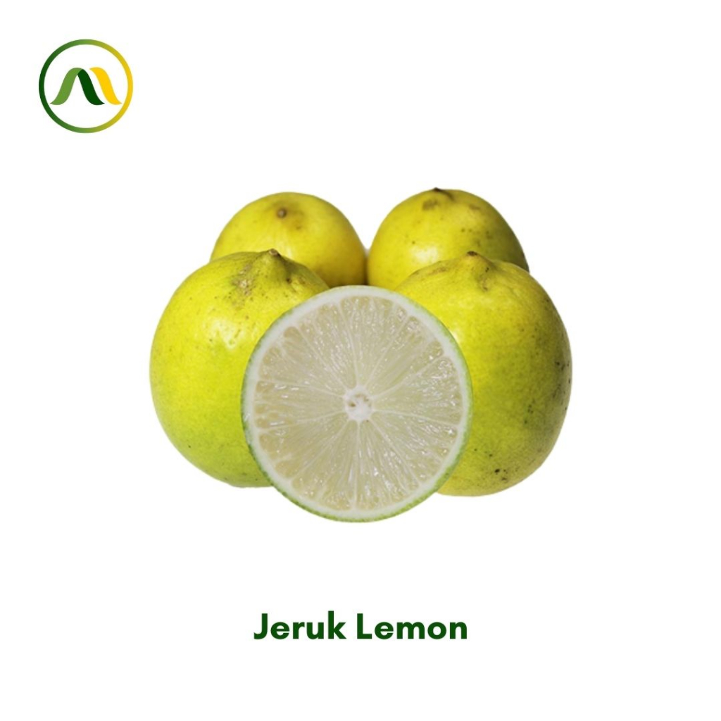 

Jeruk Lemon 200g