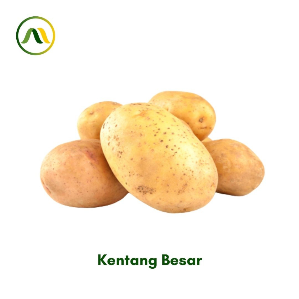 

Kentang Besar 1kg