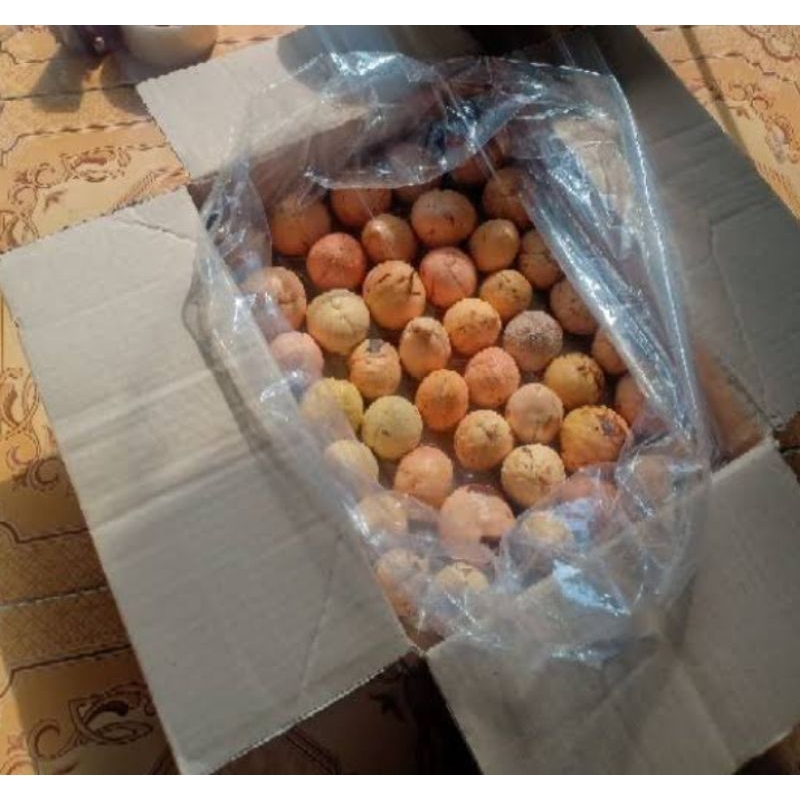 

BIJI ALPUKA GRADE AB SUDAH DIKUPAS DIJAMIN SUPER TUA