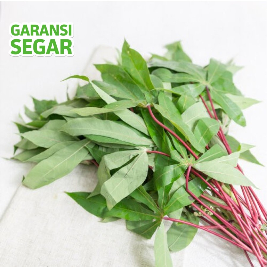 

Daun Singkong 250 Gram