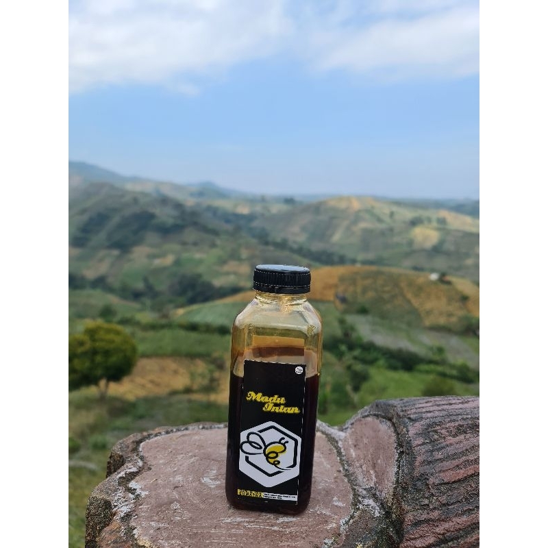 

madu intan Akasia