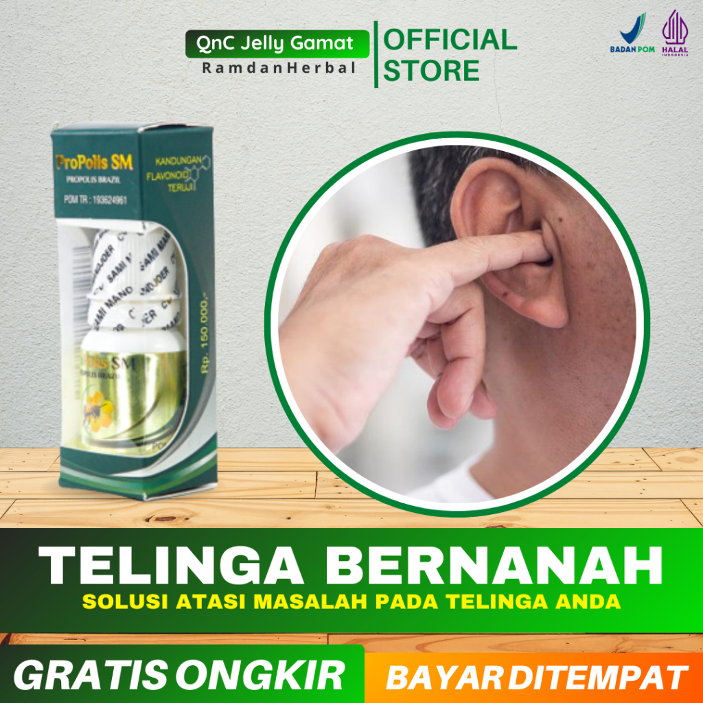 Obat Telinga Bernanah, Curek, Congek, Telinga Berair, Infeksi Telinga Walatra Propolis SM