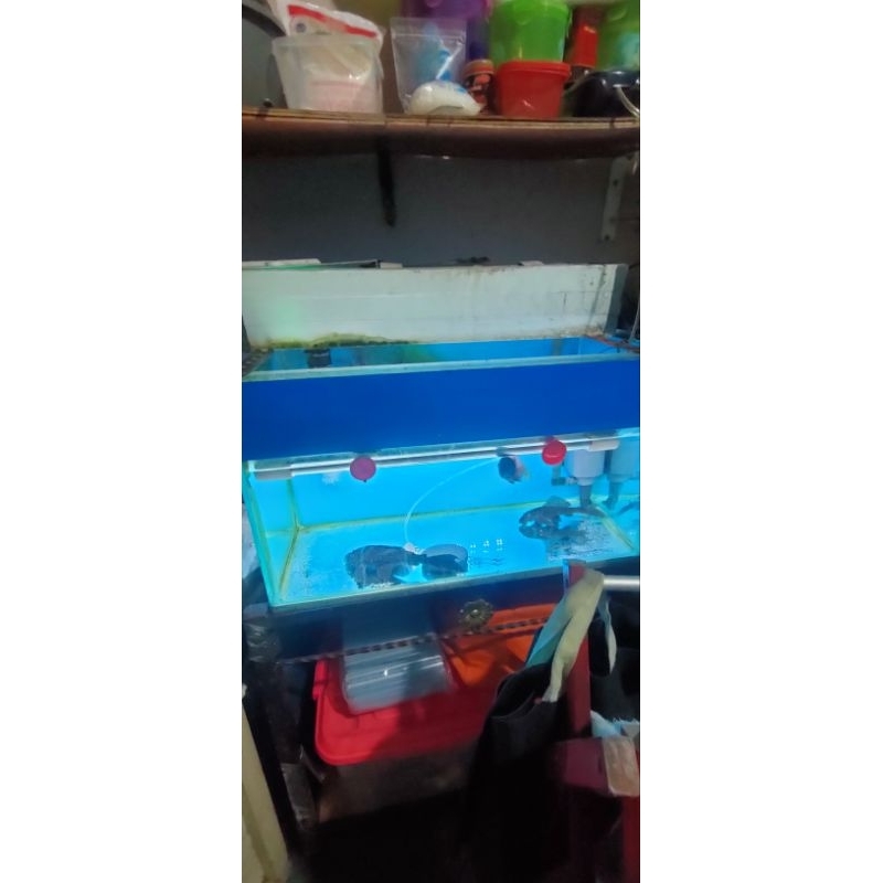 aquarium 60 cm x 40 x 30 cm full set bonus filter talang, media filter crystal bio pompa amara 1600 