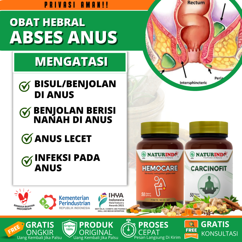 Obat Abses Anus Perianal, Obat Penghilang Abses Anus, Nanah Dalam Anus/ Dubur, Nyeri Dubur, Anus Ben