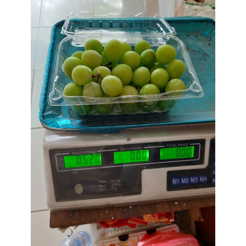 

anggur hijau shine muscat /pack