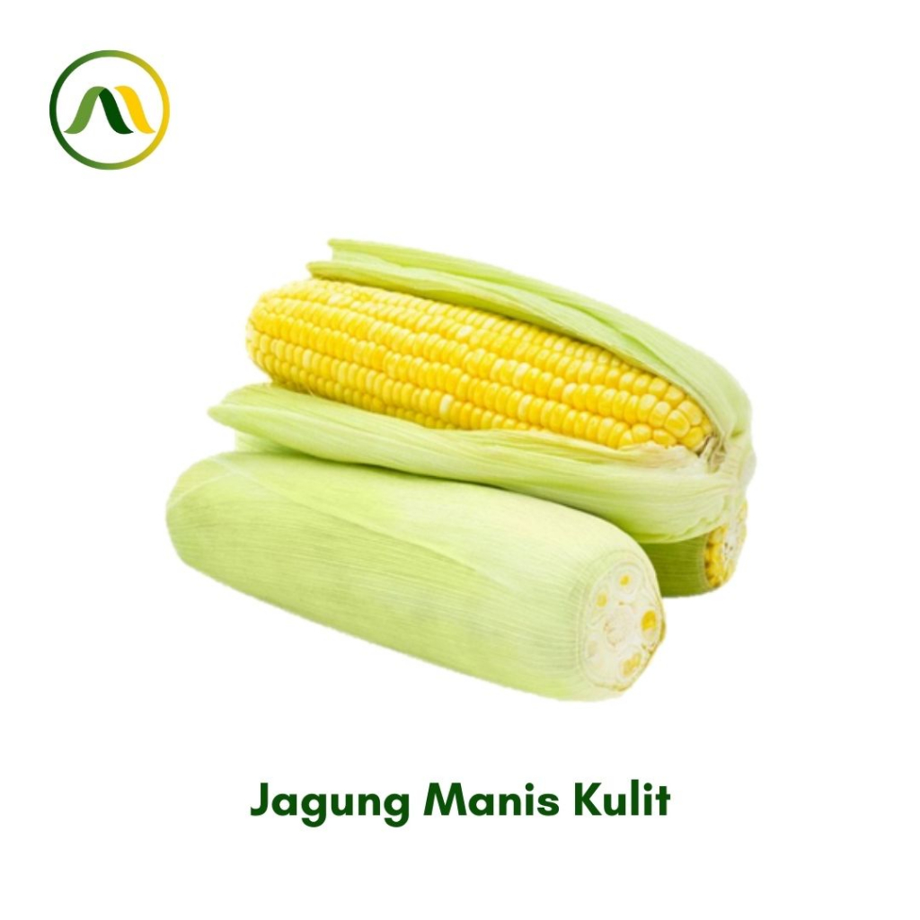 

Jagung Manis Kulit 500g