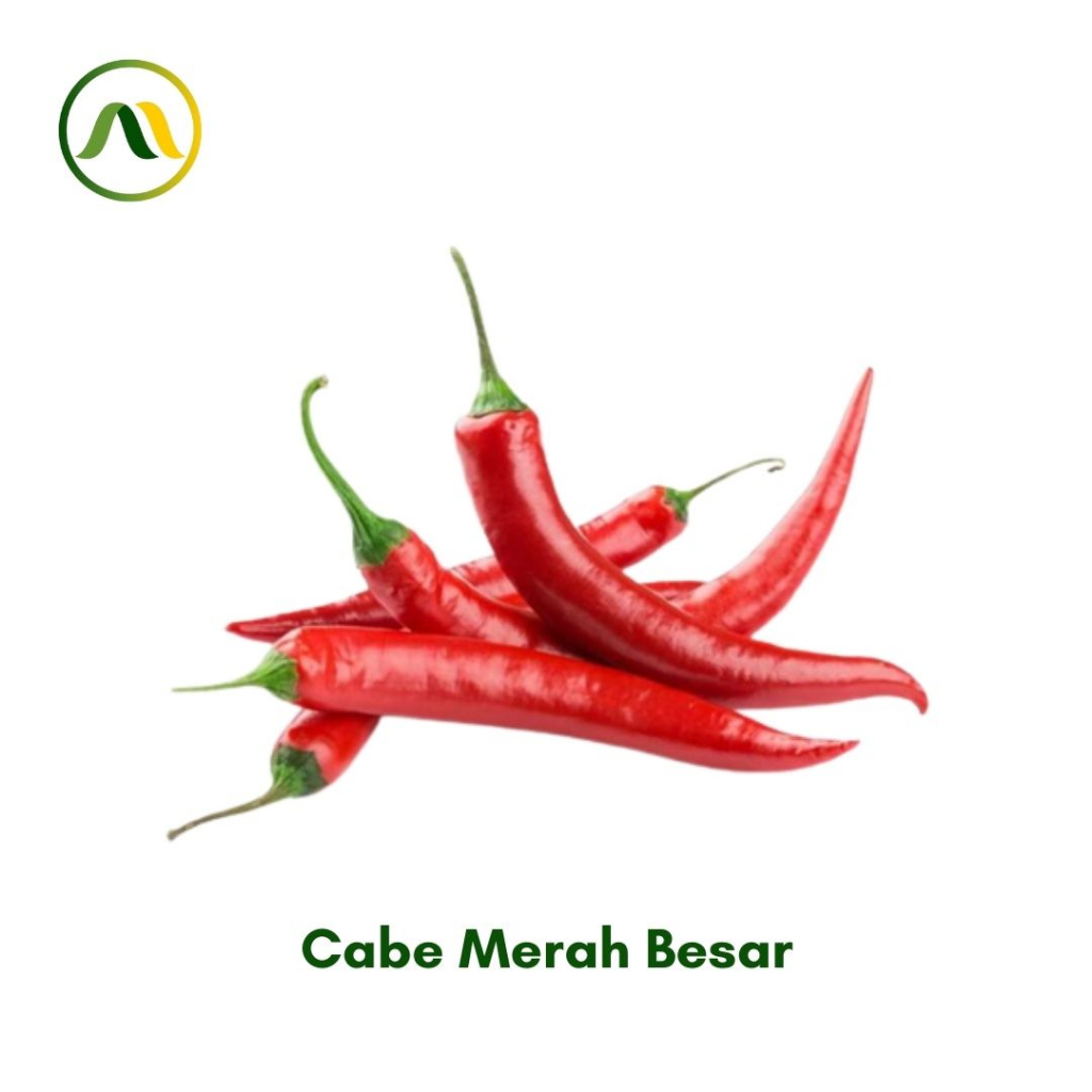 

Cabe Merah Besar 100g