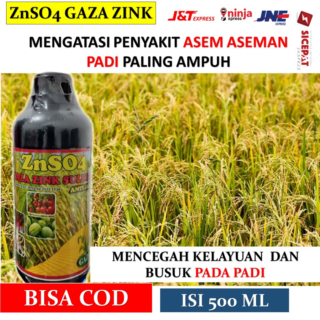 PUPUK PADI ASEM ASEMAN  GAZA ZINK ZNSO4 500ML Obat Semprot Asem Aseman Pada Tanaman Padi Terbaik dan