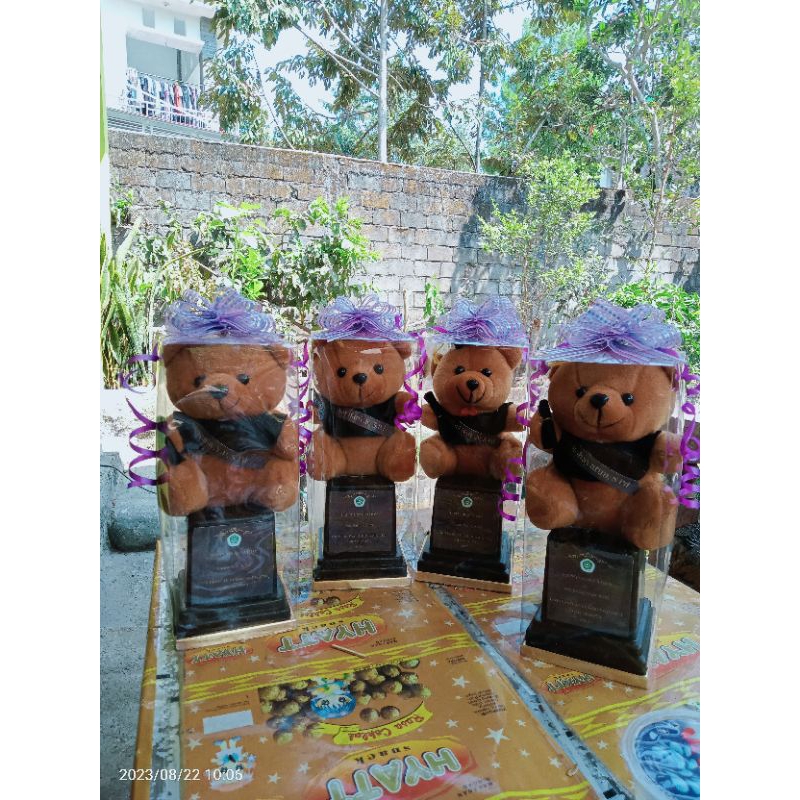 Piala Boneka Wisuda