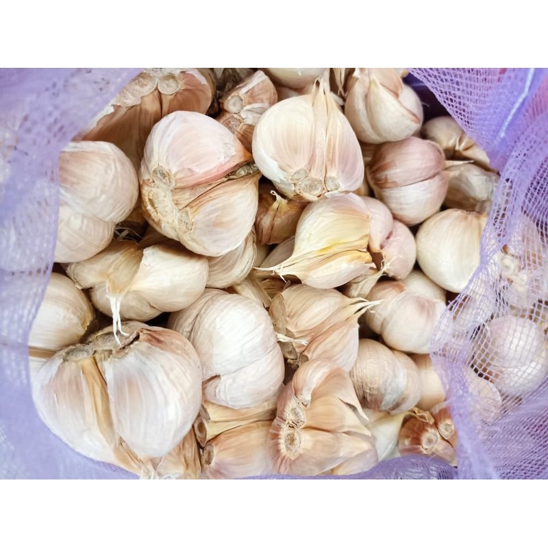 

bawang putih kating 500 gram super bersih berkwalitas