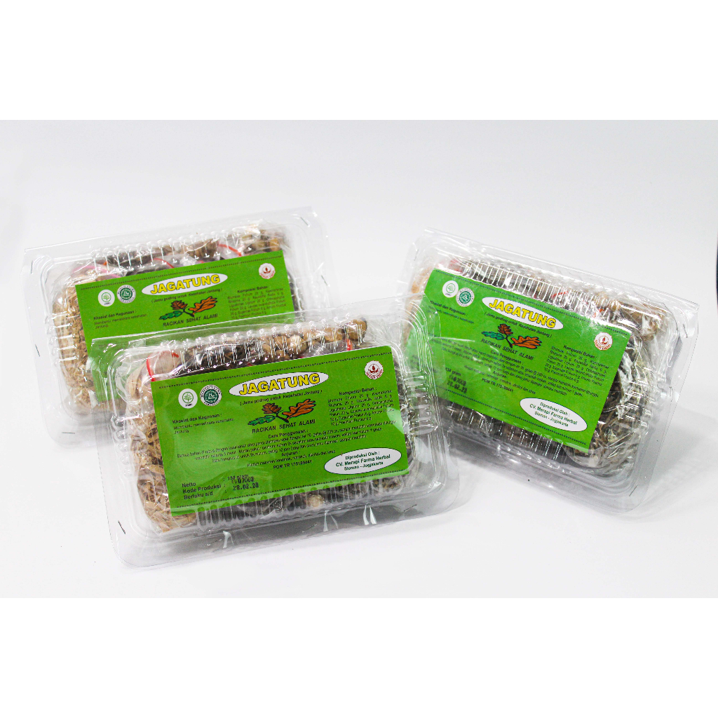 

JAGATUNG - JAMU MEMBATU SIRKLASI DARAH ASLI INDONESIA