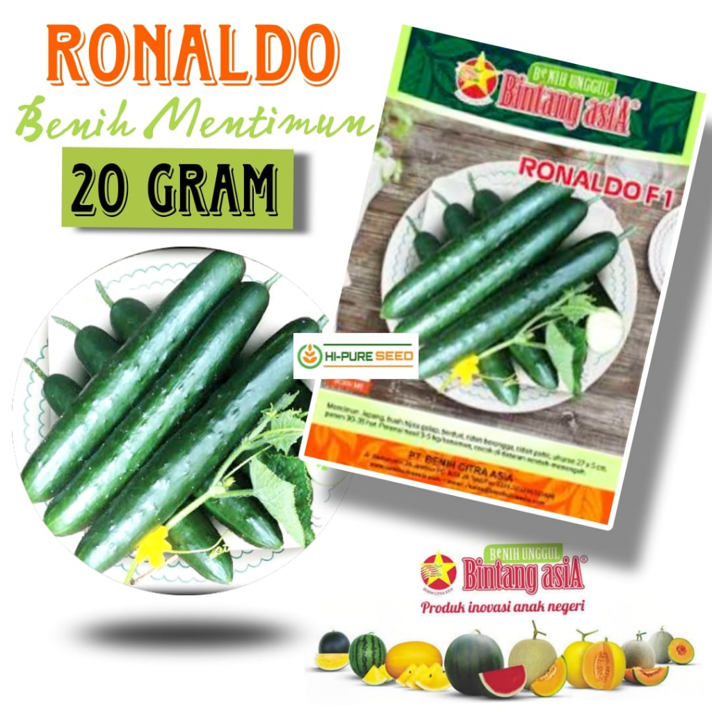 Benih Mentimun Timun Jepang Ronaldo F1 20 gram Cap Bintang Asia