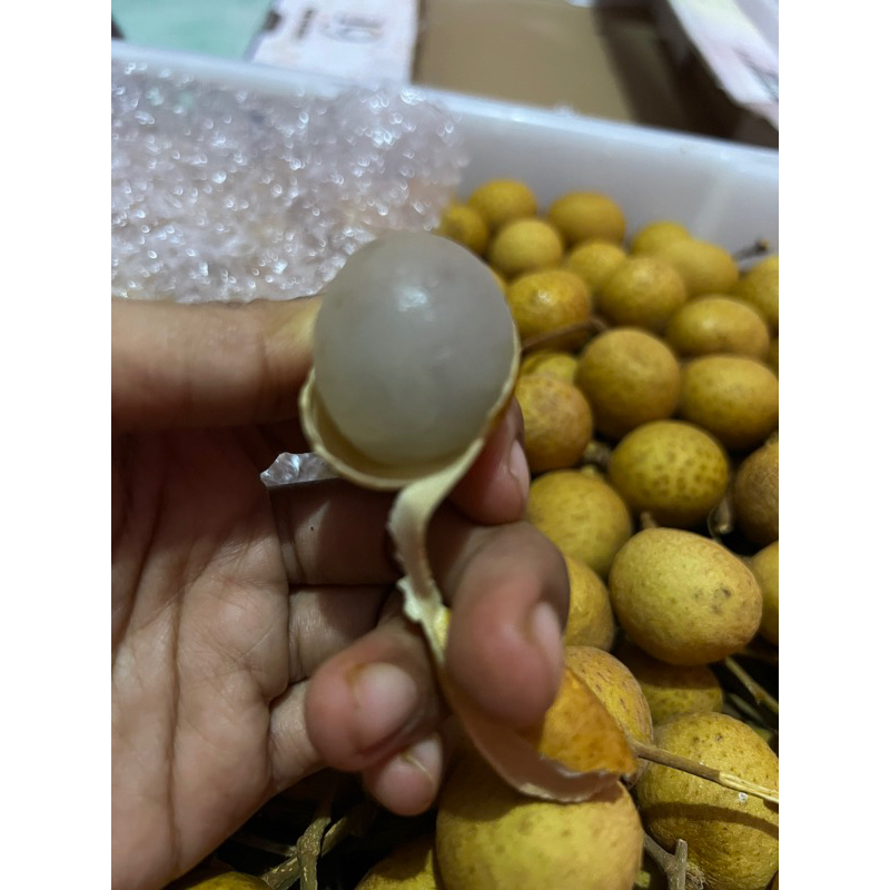 kelengkeng gold