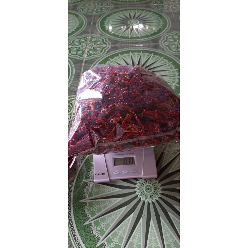 

PROMOOO!!! Belalang Goreng/Walang Goreng Rasa ORIGINAL
