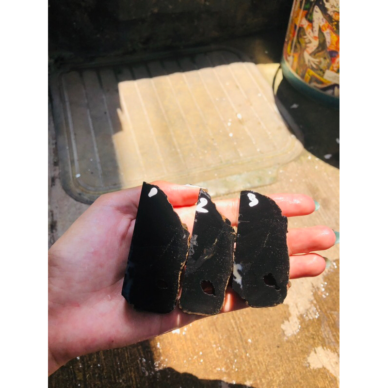 Batu Fosil Kelor Hitam Pekat Arang Natural Combong