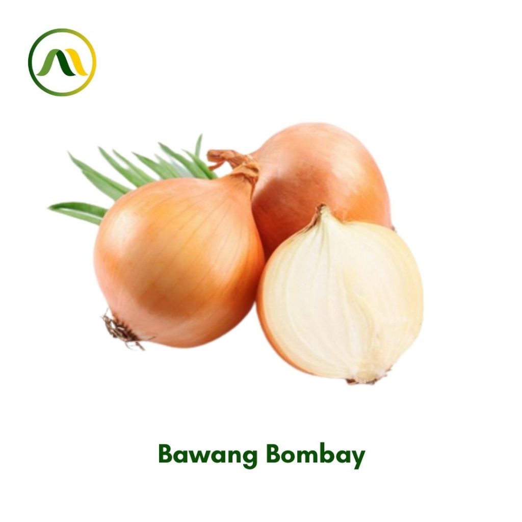 

Bawang Bombay 500g