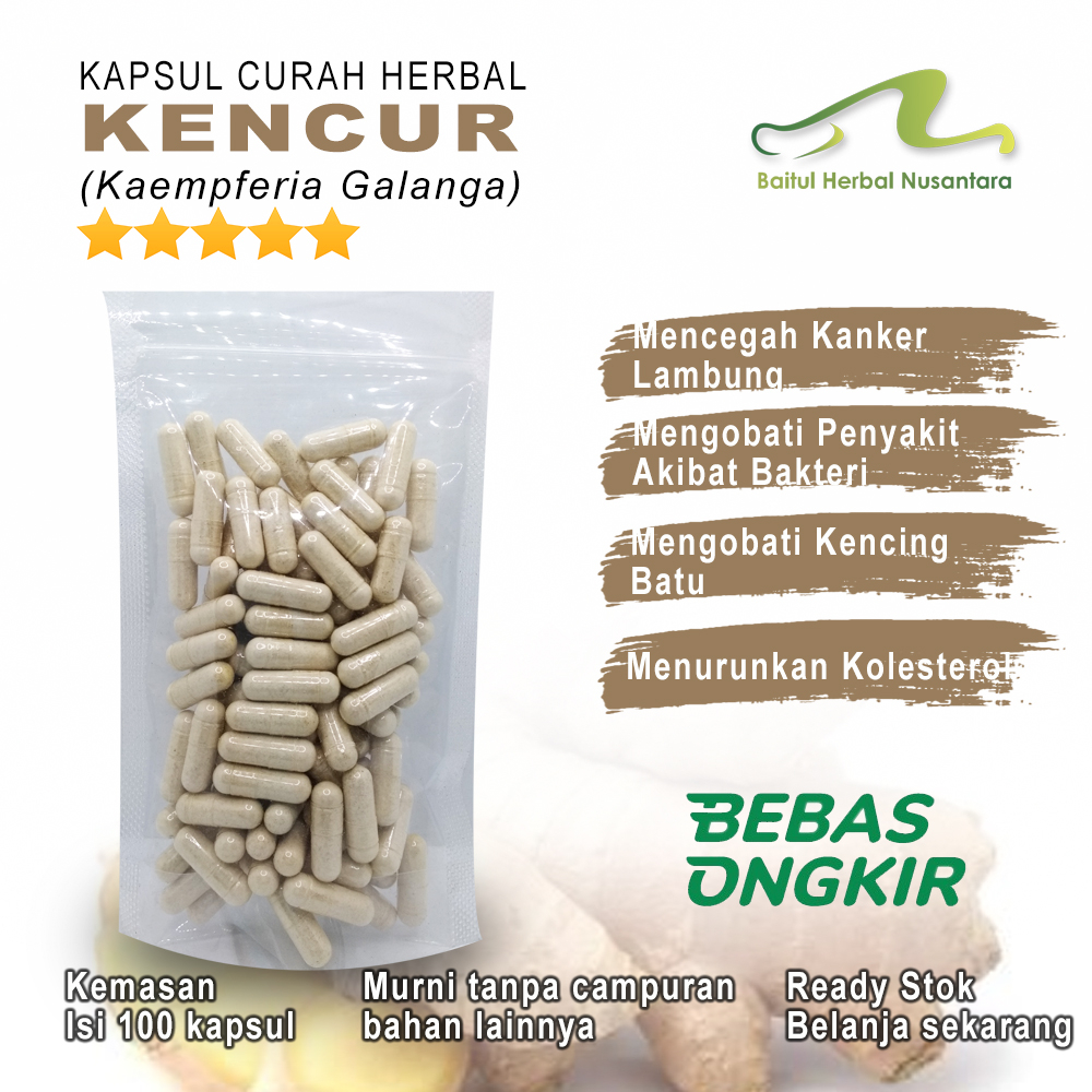 

KENCUR 100 Kapsul Curah Herbal Diare Nafsu Makan Maag Kolesterol Flu Mengobati Kencing Batu Maag