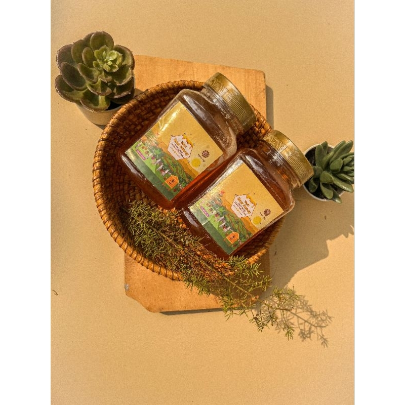 Kasturi Pagi | Raw Madu Malifera travel size 380 gr