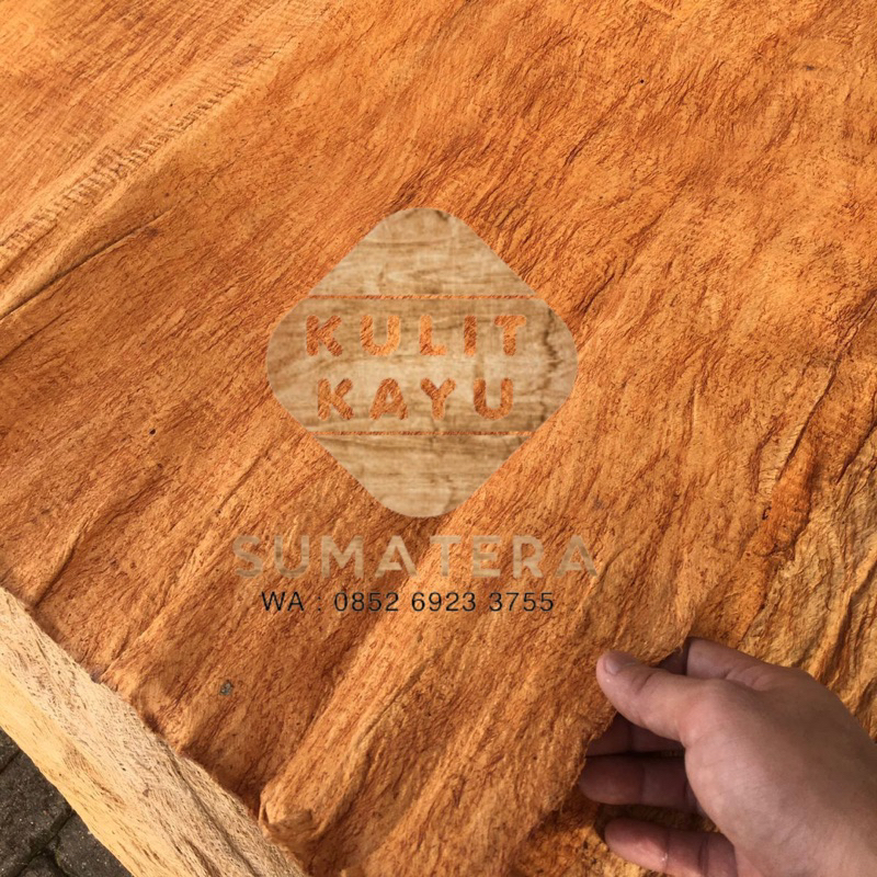 Kulit kayu lembaran lantung 1 x 1 meter