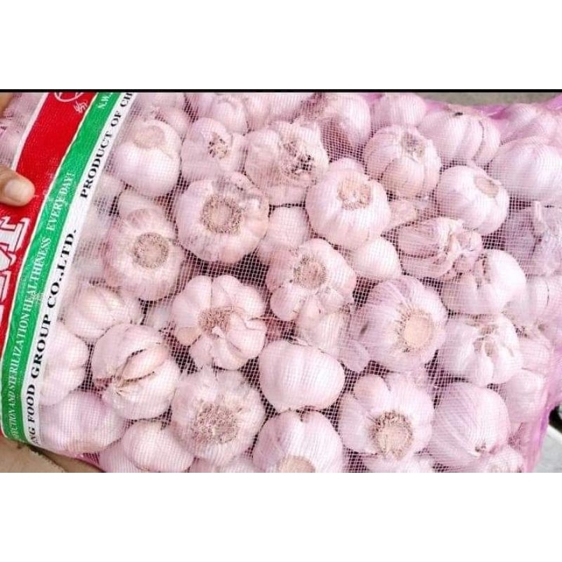 

BAWANG PUTIH 500g